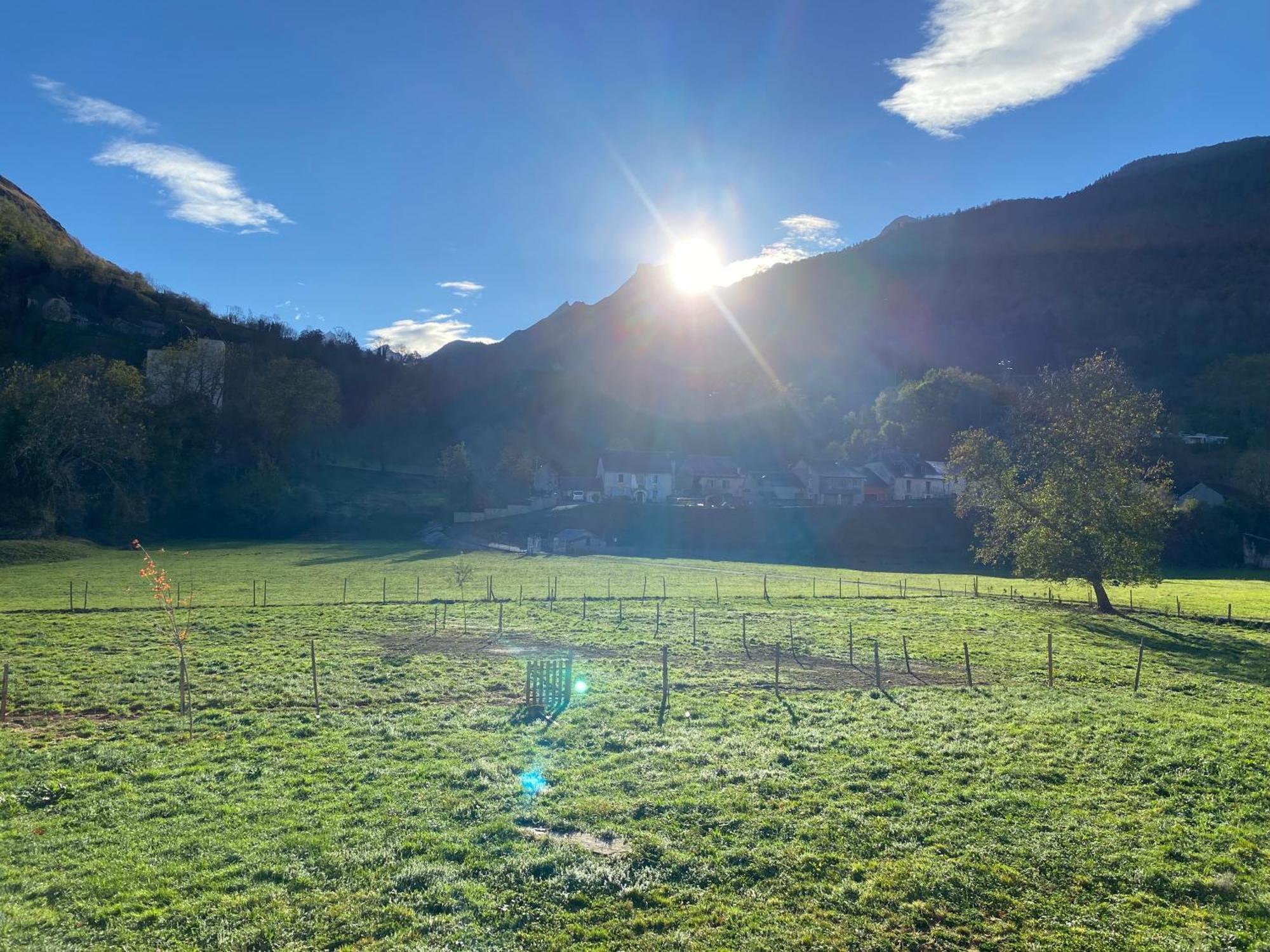 Au Bord Du Gave Lägenhet Laruns Exteriör bild